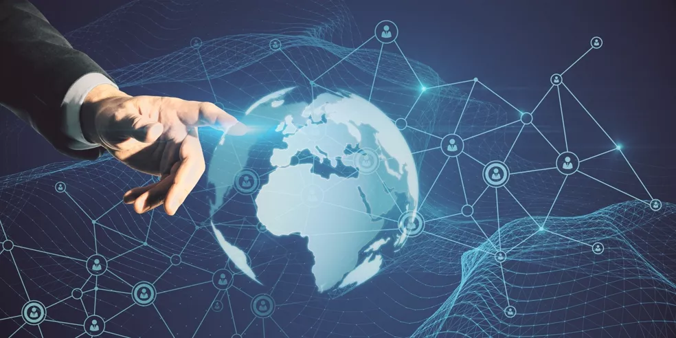 Trayectoria y experiencia